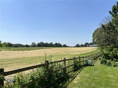 Picture 24